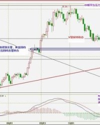 中国·世俱杯(有限公司)-官方网站- 佛罗伦萨财政紧缩，出售主力引担忧  